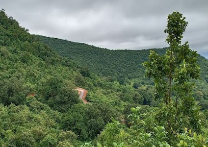 Daringbadi local Hill Forest (Scenic Views)