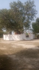 Bahar Baba Mandir