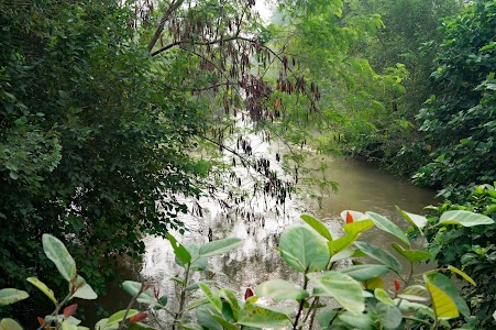 Safdarganj