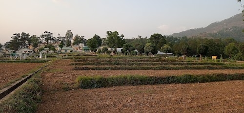 ICAR-VPKAS Experimental Farm, Hawalbagh