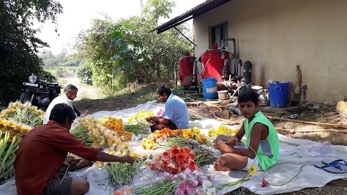 Bhupesh Patel Farm