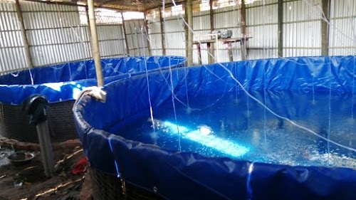 Zenith Biofloc & Fish Seeds Hatchery