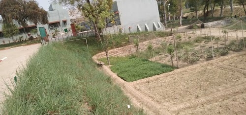 EVERGREEN AGRO BIOTECH PVT LTD