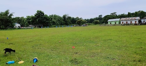 Kalpani Shalpara Bihu field