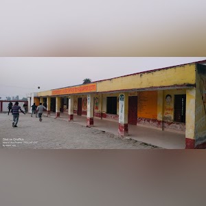 प्राथमिक स्कूल ग्राम बिरसिंहपुर