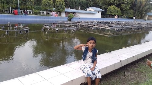 Saijuddin Shaikh