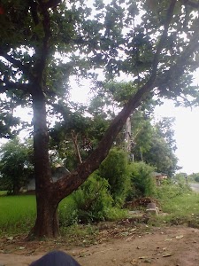 Khumarvad