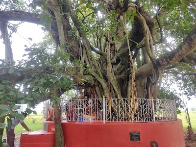 Singi Khetropal Tola