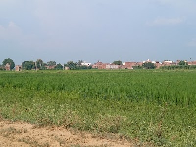 Ritik Yadav