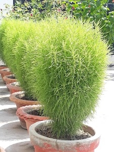 Patrakar Park