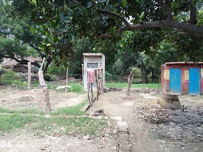 Aureni