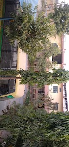 Jalasoor