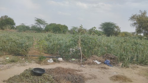 Bhimda