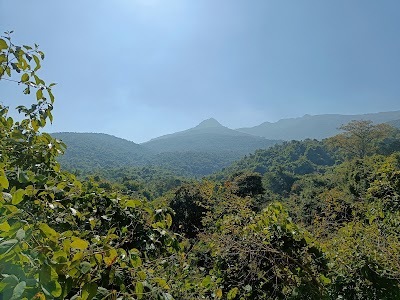 Parasnath Hill