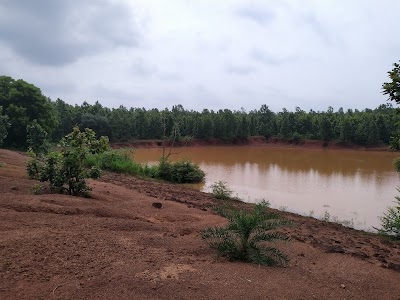 Amlagora Forest Range