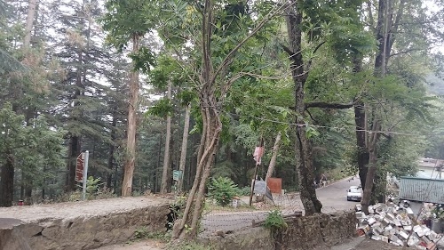 Dhauladevi Town