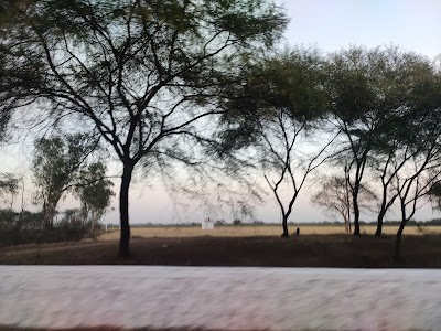Mohara