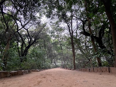 Sanjay Van