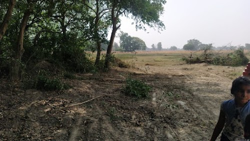 Dhangada Chauraha
