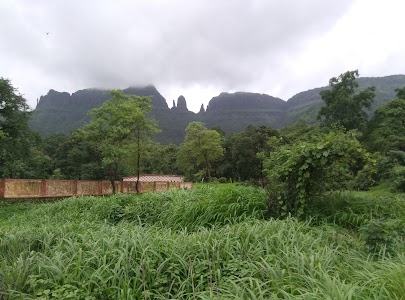 Koshimbi