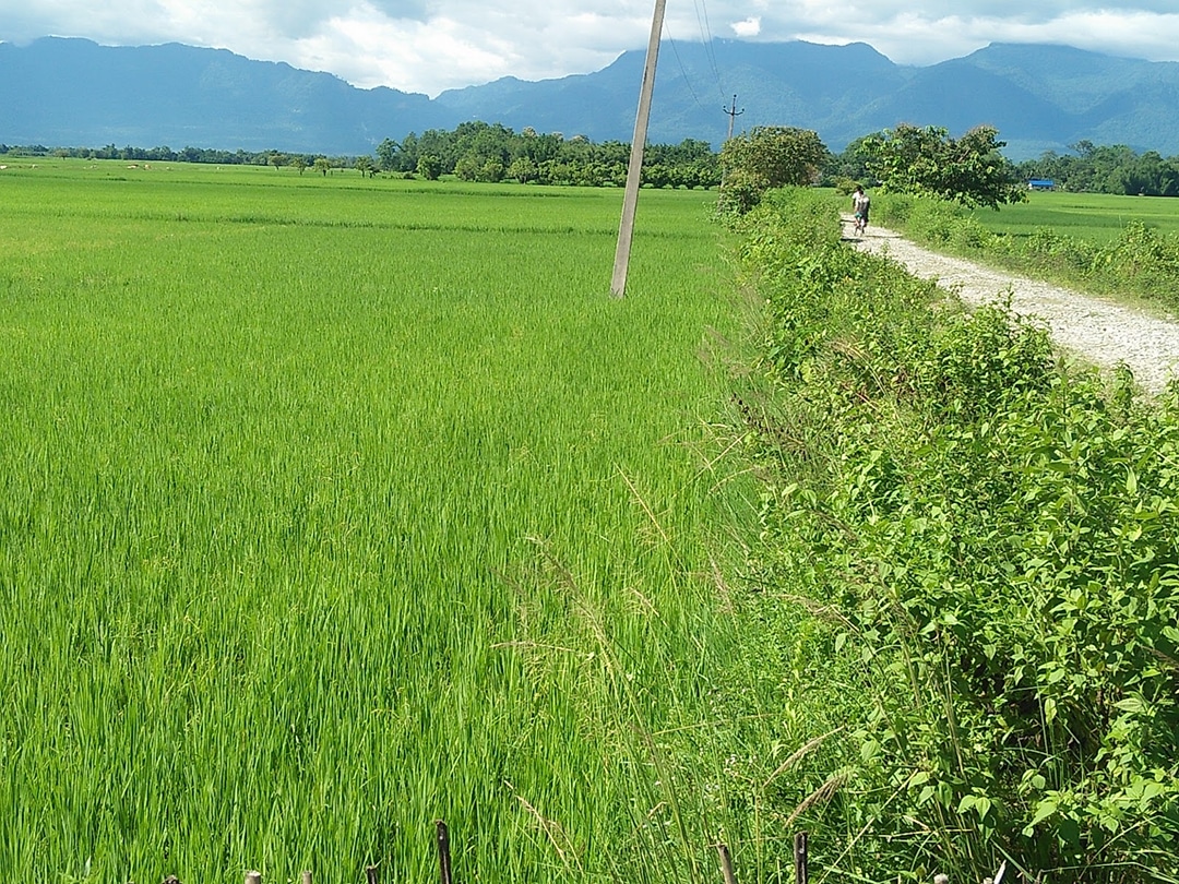 Baksa