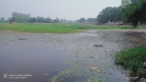 लिलार शिव मंदिर