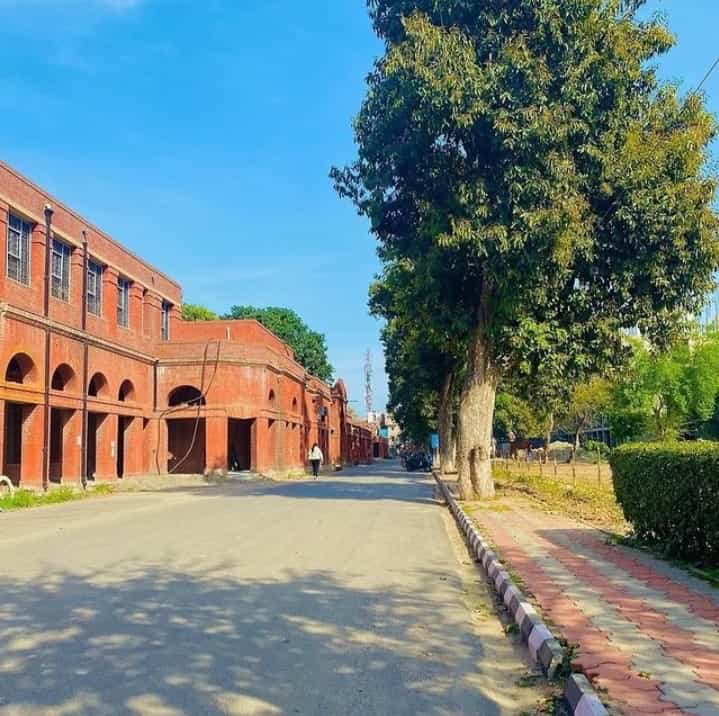Govenment Medical College, Amritsar