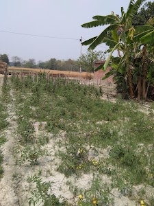 Afazlpur Puraina