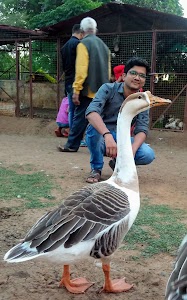 Patel Park