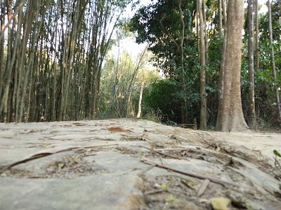 Brojapur Pt II