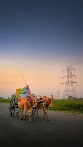 Jalgaon