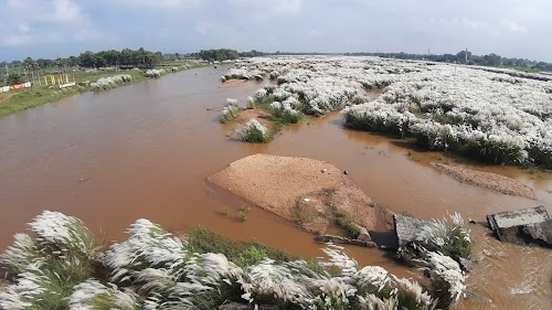 Falgu Bridge