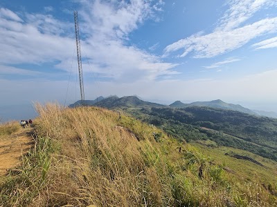 Ilaveezhapoonjira
