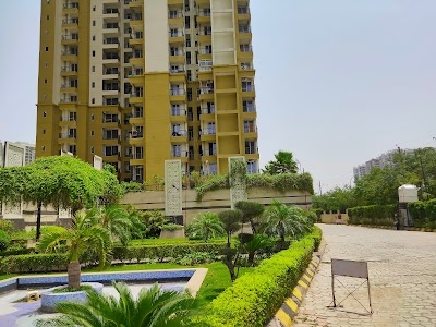 The Aranya