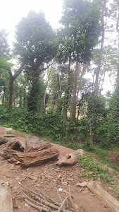 Magalu