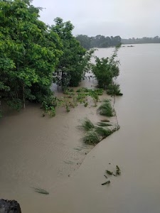 Pagladiya River