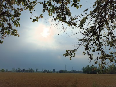 Hardoi