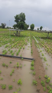 Janiyon ki Dhani