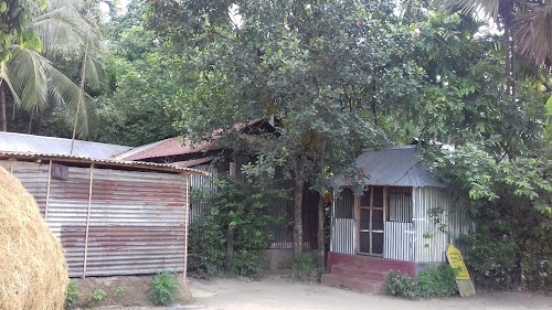 Nakkati Gachhi