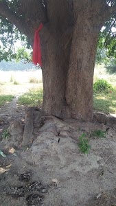 Shiv Mandir