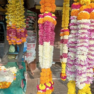 Mhalgi Nagar