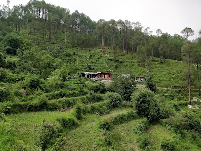 Chaitanya Tapovan