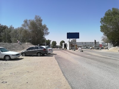 شکیل انور
