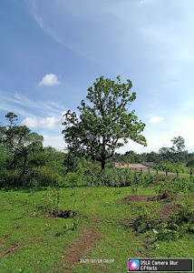 Football Ground