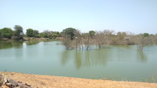 Karoli