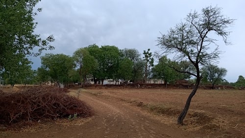 Murlipura