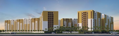 TROPICAL GREENS