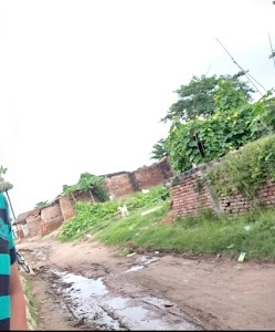 Sitalpatti