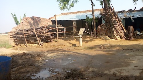 Samanna