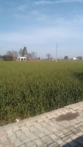 Singhpur School